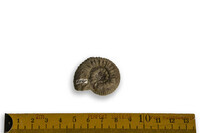 F 04949
<br/>
<br/>
<em></em>